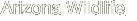 item40